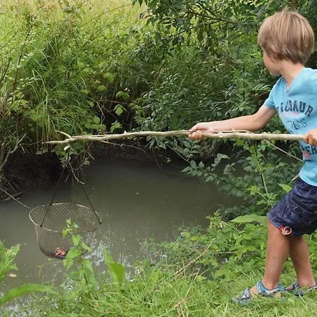 Campingplatz Mobil-home 6 Pers Avec Terrasse A - Api-1-52-499 *