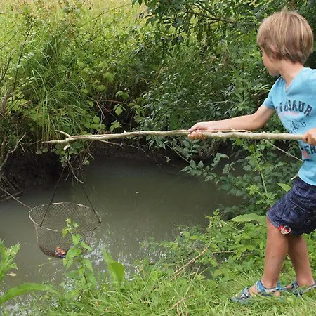 营地 Mobil-home 6 Pers Avec Terrasse A - Api-1-52-499