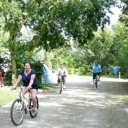 Mobil-home 6 Pers Avec Terrasse A - Api-1-52-499 营地