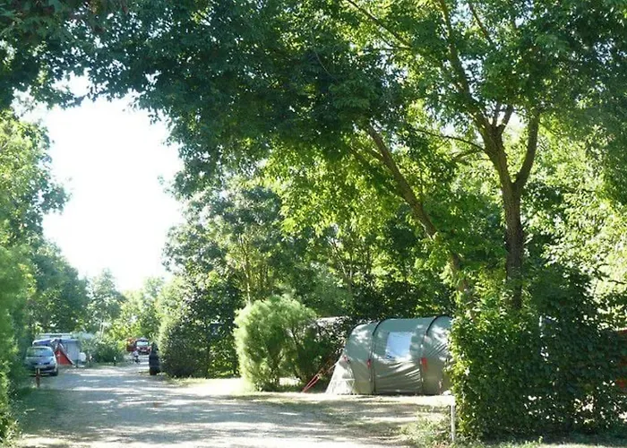 Mobil-home 6 Pers Avec Terrasse A - Api-1-52-499 Chaille-Les-Marais